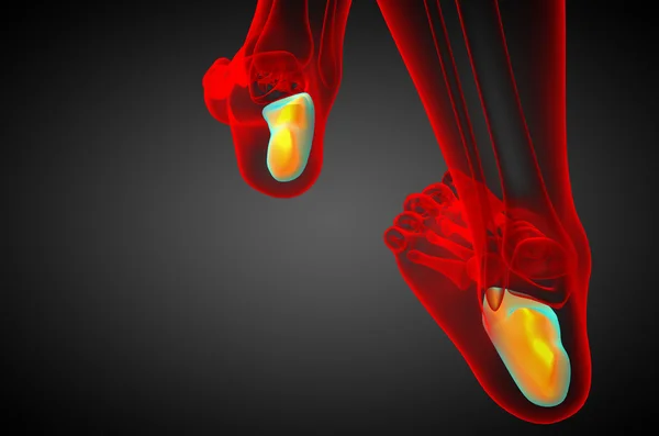 3D Darstellung des Calcaneus-Knochens — Stockfoto