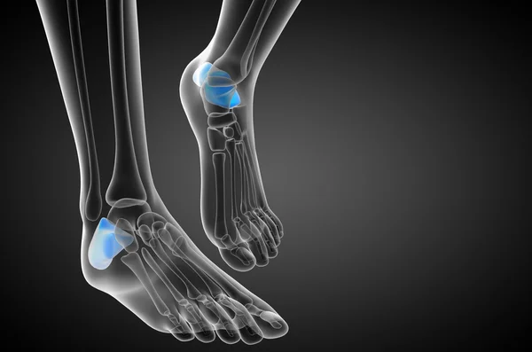 3d render medical illustration of the calcaneus bone — Stock Photo, Image