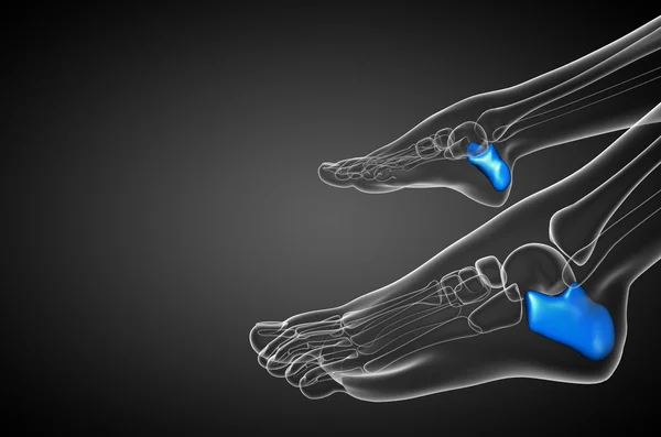 3d face ilustrație medicală a osului calcaneus — Fotografie, imagine de stoc