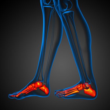 ayak kemik işlenmiş illüstrasyon