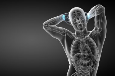 işlenmiş illüstrasyon insan karpal kemiklerin