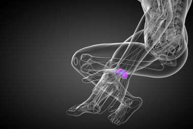 işlenmiş illüstrasyon insan karpal kemiklerin