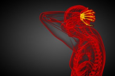 işlenmiş illüstrasyon insan eli kemik