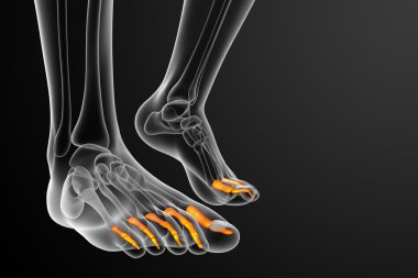 3D render Medikal illüstrasyon parmak kemikleri ayak