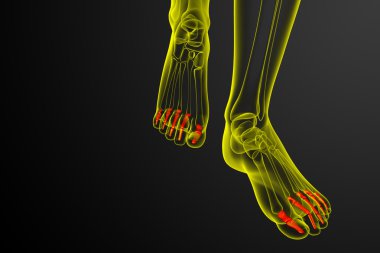 3D render Medikal illüstrasyon parmak kemikleri ayak