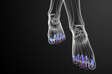 3D render Medikal illüstrasyon parmak kemikleri ayak