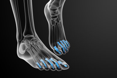 3D render Medikal illüstrasyon parmak kemikleri ayak