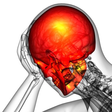 3D render Medikal illüstrasyon kafatası 