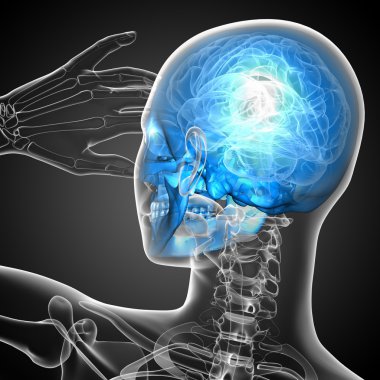 3D render Medikal illüstrasyon kafatası 