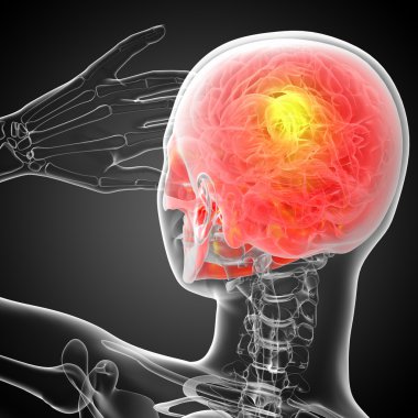 3D render Medikal illüstrasyon kafatası 