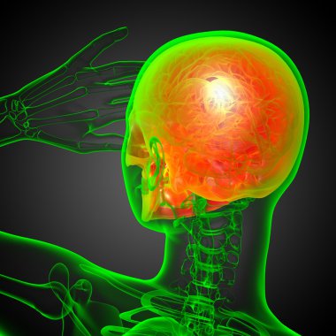 3D render Medikal illüstrasyon kafatası 