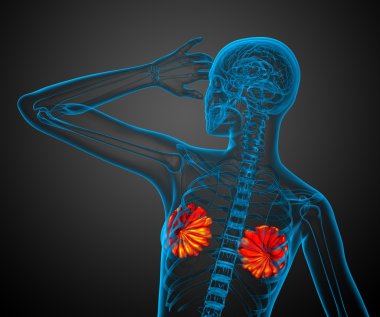 3D render Medikal illüstrasyon insan meme