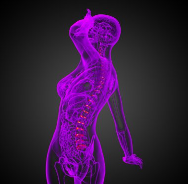 Omurilik disk tıbbi illüstrasyon