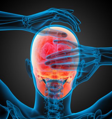 3D render illüstrasyon kafatası 