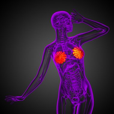 3D render Medikal illüstrasyon insan meme 