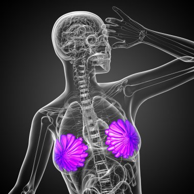 3D render Medikal illüstrasyon insan meme 