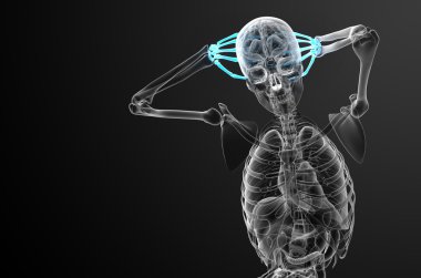 3D render illüstrasyon iskelet el 