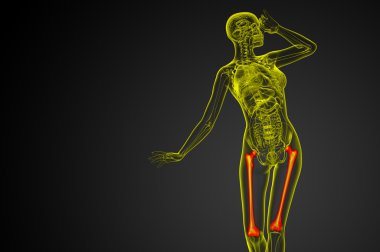 3D render Medikal illüstrasyon femur kemik 