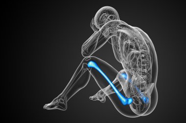 3D render Medikal illüstrasyon femur kemik 