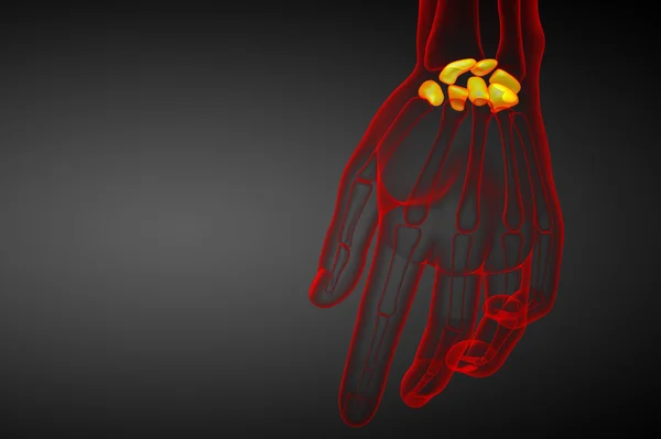 人間の手根骨の 3 d レンダリングされたイラストレーション — ストック写真
