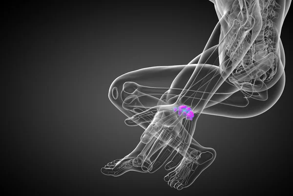 3d ilustração renderizada dos ossos do carpo humano — Fotografia de Stock