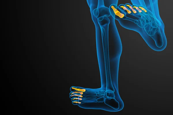 3d rendere illustrazione medica del piede falangi — Foto Stock