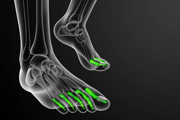 3d render medical illustration of the phalanges foot — Stock Photo, Image