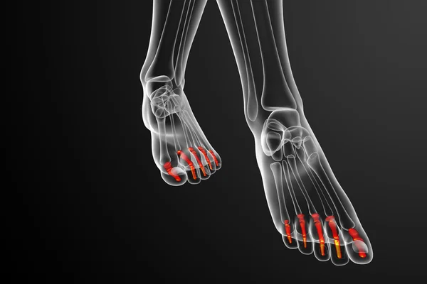 3d renderizar ilustração médica do pé falanges — Fotografia de Stock