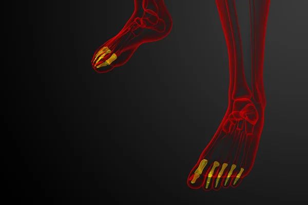 3D render orvosi illusztráció a phalanx láb — Stock Fotó