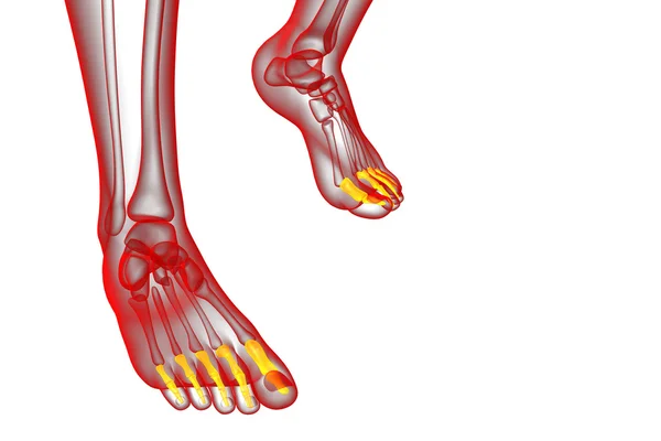 3d renderizar la ilustración médica del pie falanges — Foto de Stock