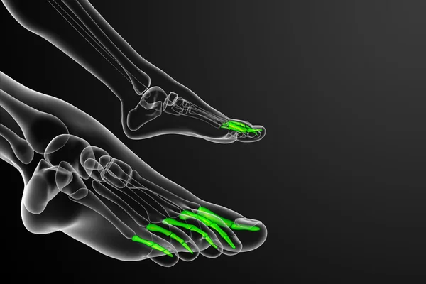 3D vykreslení lékařské ilustrace falangy chodidla — Stock fotografie