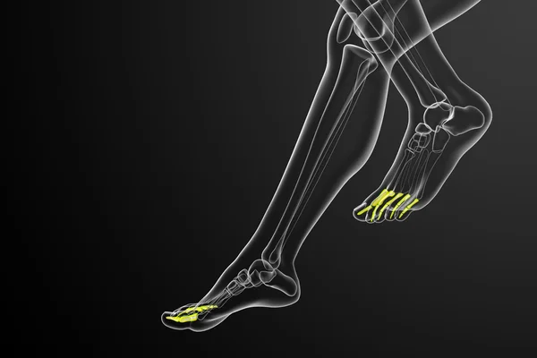 3d renderizar la ilustración médica del pie falanges — Foto de Stock