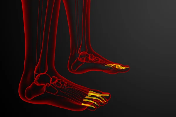 3d render medical illustration of the phalanges foot — Stock Photo, Image