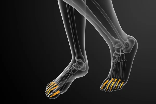 3d gøre medicinsk illustration af phalanges fod - Stock-foto