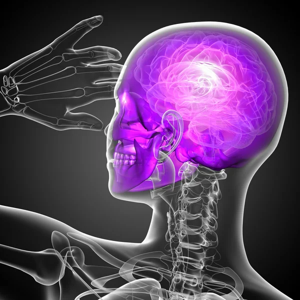 3D render Medikal illüstrasyon kafatası 