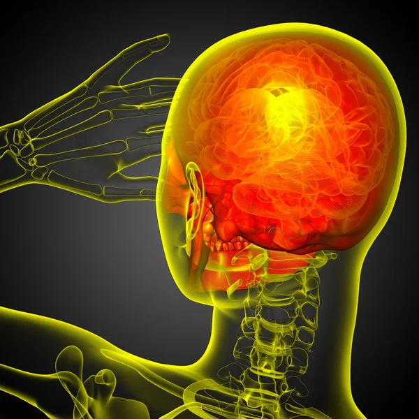 3D render Medikal illüstrasyon kafatası 