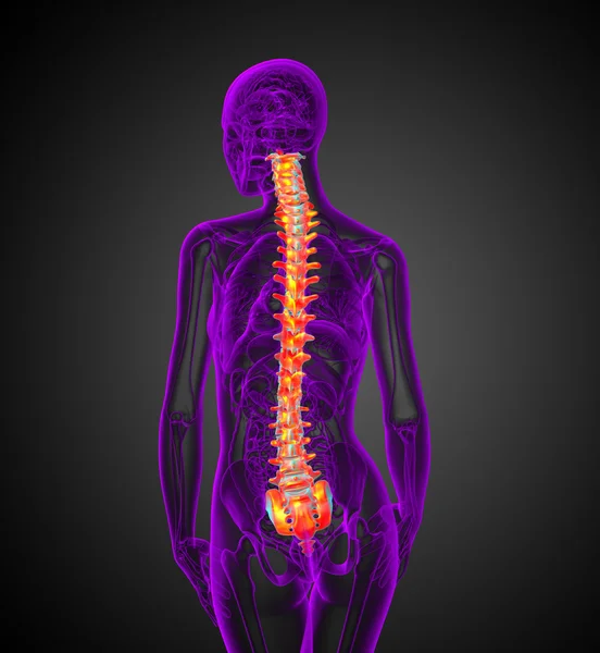 3d hacer ilustración médica de la columna vertebral humana — Foto de Stock