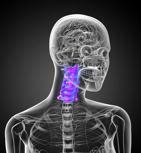 3d renderizar ilustração médica da coluna cervical — Fotografia de Stock