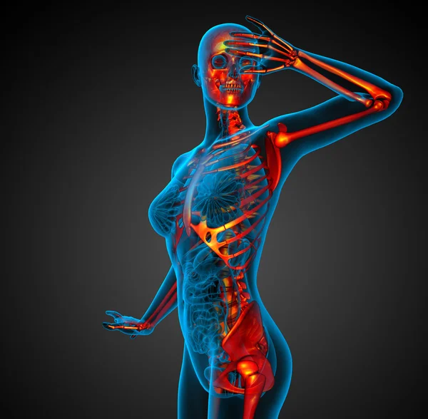 3D medizinische Illustration des menschlichen Skeletts — Stockfoto