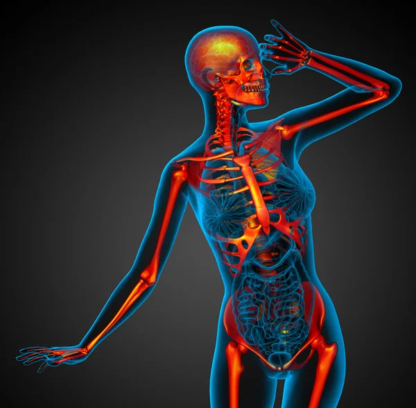 3D medizinische Illustration des menschlichen Skeletts — Stockfoto