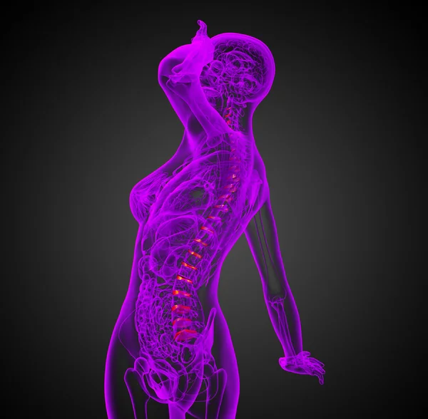 Ilustración médica 3D del disco espinal —  Fotos de Stock