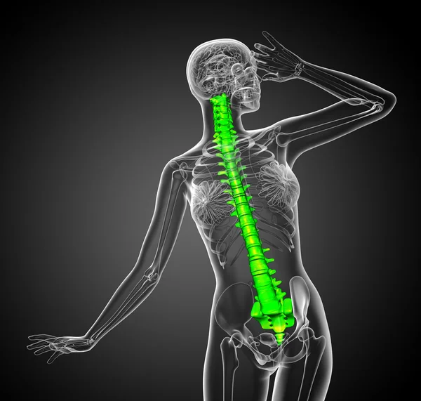 3d rendere illustrazione medica della colonna vertebrale umana — Foto Stock