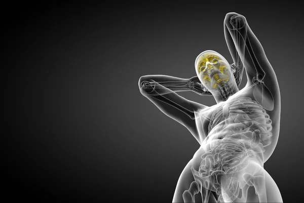 3D medizinische Illustration des Gehirns — Stockfoto