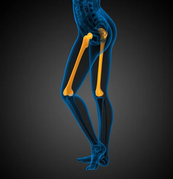 3D render ilustracja kości udowej — Zdjęcie stockowe