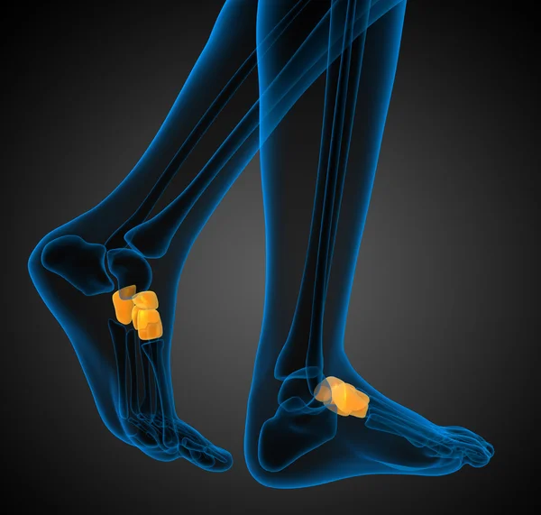 3d renderizar la ilustración médica del hueso del pie medio — Foto de Stock