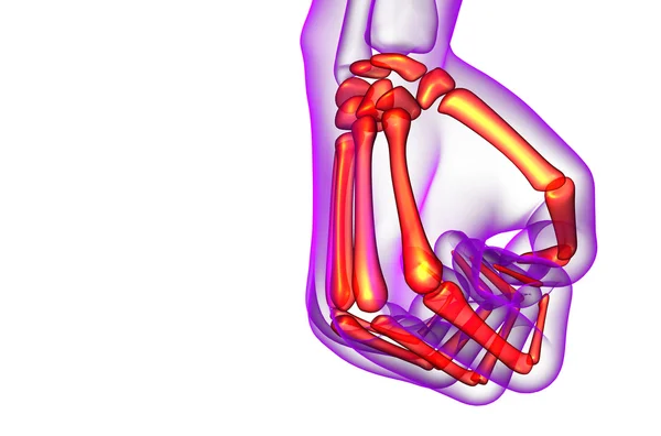 3D καθιστούν εικονογράφηση του χεριού σκελετός — Φωτογραφία Αρχείου