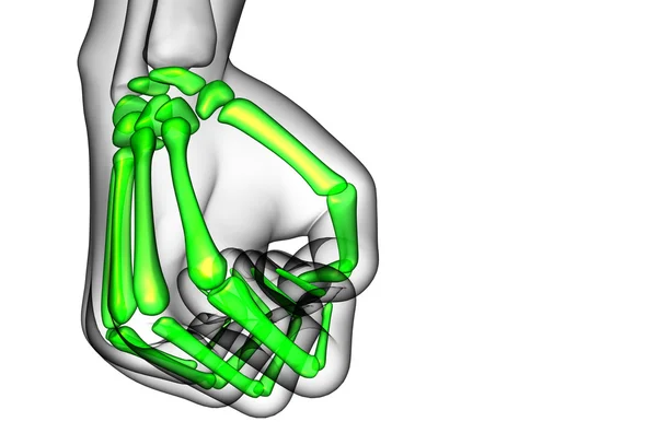 3d renderizar ilustração da mão esqueleto — Fotografia de Stock