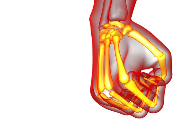 3D καθιστούν εικονογράφηση του χεριού σκελετός — Φωτογραφία Αρχείου