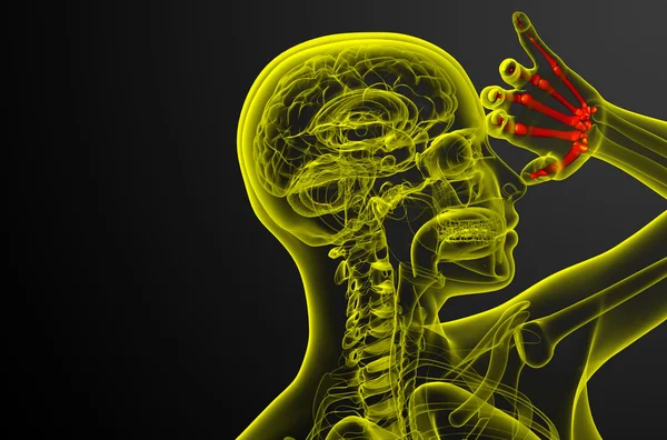 3D render illustration av skelett hand — Stockfoto