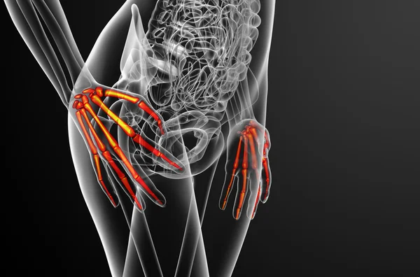 3d render illustration of the skeleton hand — Stock Photo, Image